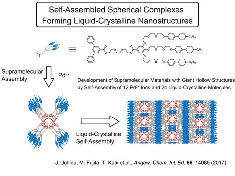  Liquid Crystalline Polymers:  Versatili e Resistenti per Applicazioni Industriali Avanzate!